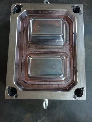 โมล์ฉีดพลาสติกสําหรับถ้วย/ถ้วย/ถัง/ถัง ABS/PP/PA/PA6/PA6 GF/POM/HDPE/พอลิการ์บอเนต/PMMA/PET/PVC